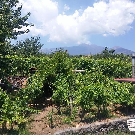 Sorbello Dell'Etna Villa Milo Exterior foto